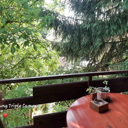 펜션 Relax House 비소코