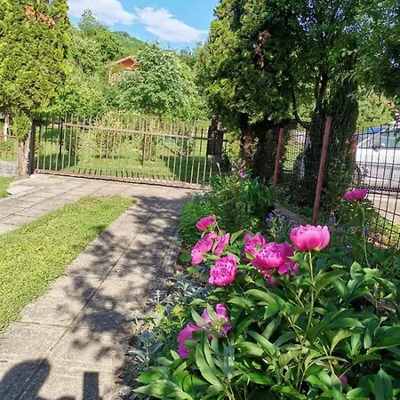 Relax House * 비소코