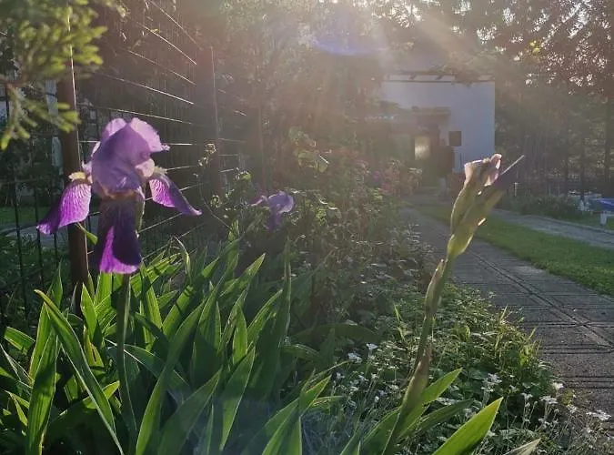 度假居 Relax House