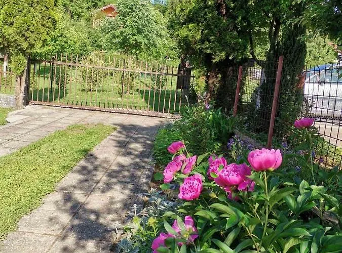 Relax House * 维索科